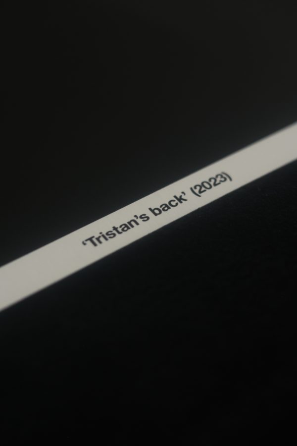 'Tristan's back' <br/> (2023) - Image 3