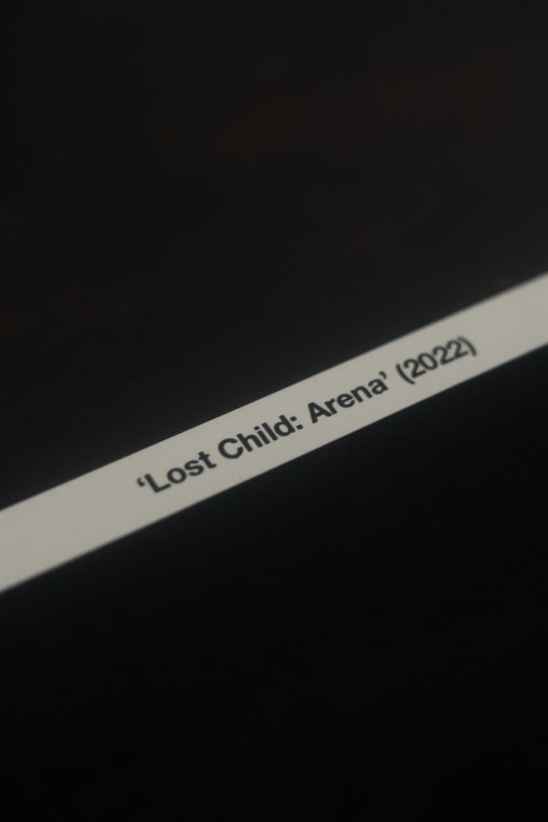 'Lost Child. Arena' (2022) - Image 3